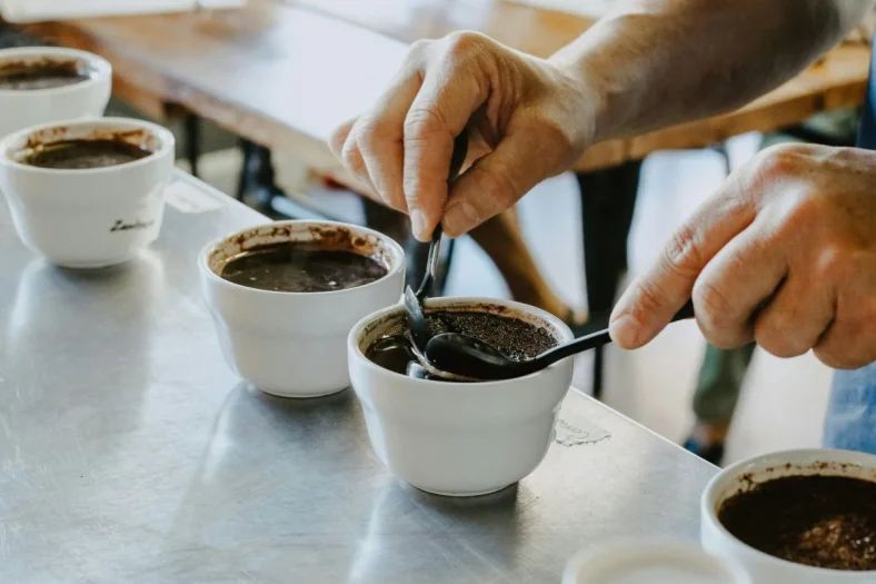 Coffee Tasting Notes